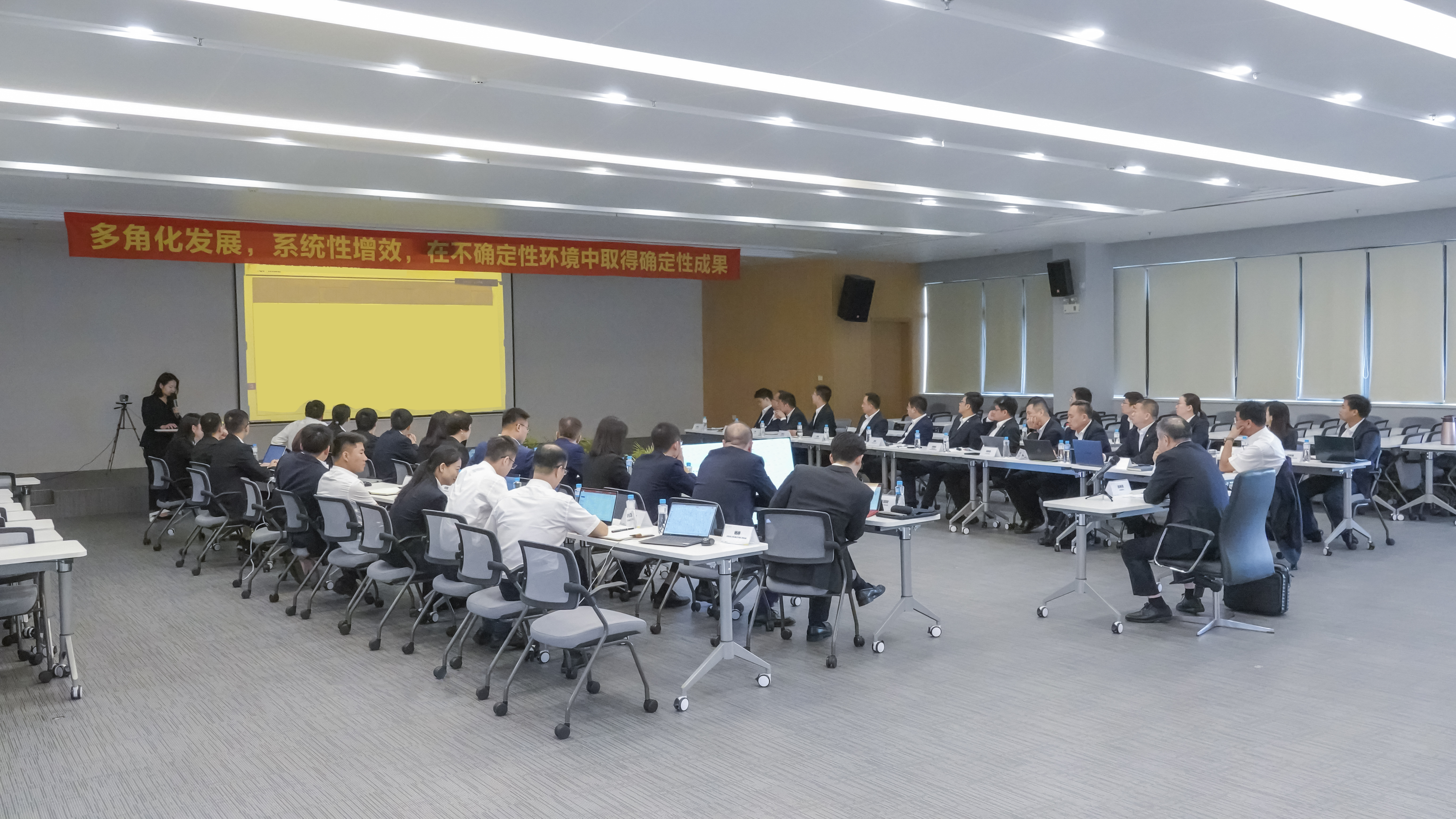 Multifaceted development, systemic efficiency gains and deterministic results in an uncertain environment